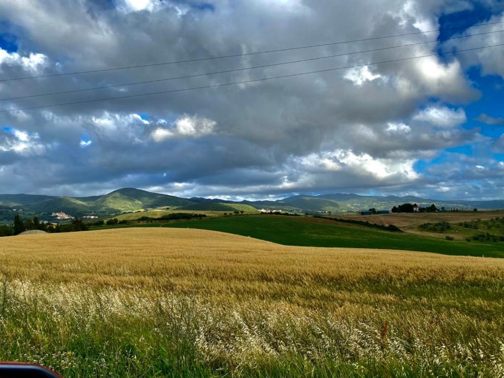 Podere Il Mulino Pieve di Santa Luce Exterior photo