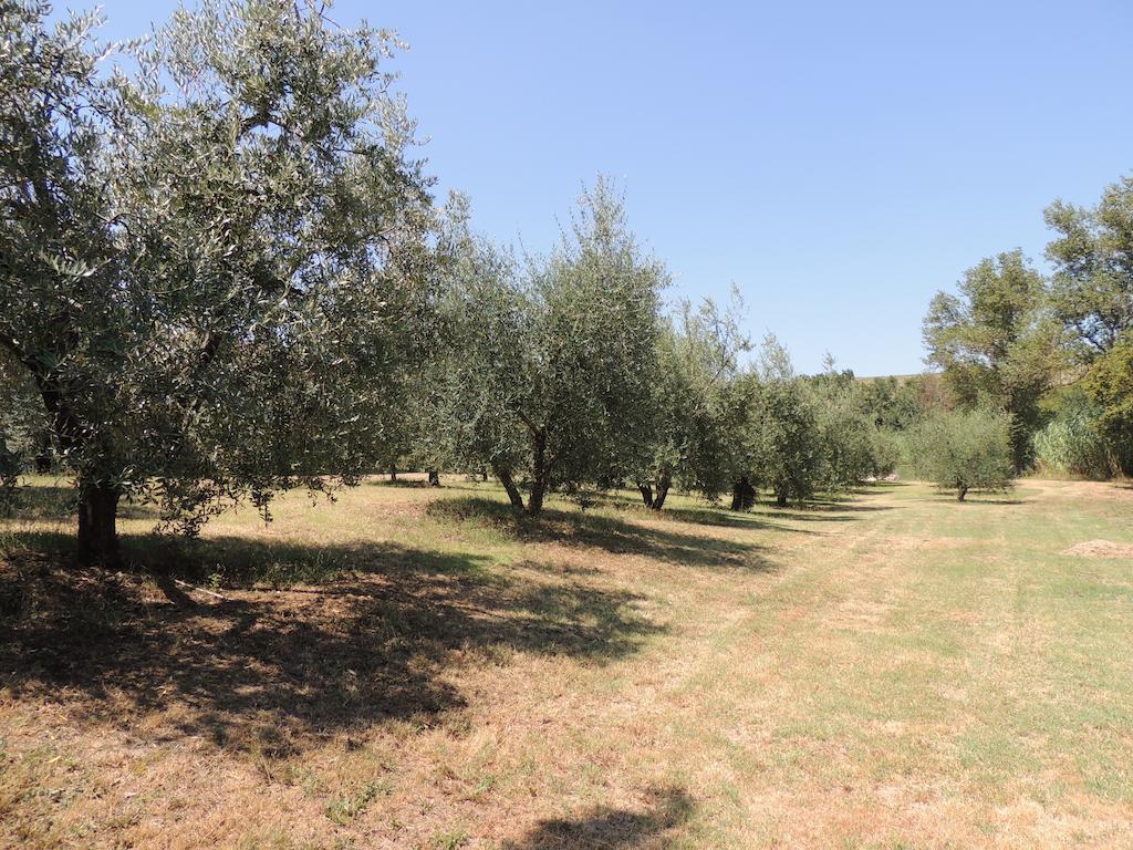 Podere Il Mulino Pieve di Santa Luce Exterior photo
